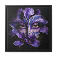 Purple Iris Flower Amber Eye Iris Framed Canvas