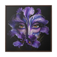 Purple Iris Flower Amber Eye Iris Framed Canvas