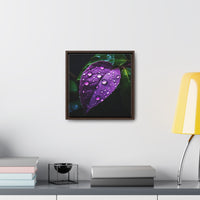 One Purple Leaf with Dew Drops Framed Canvas