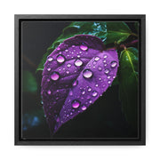 One Purple Leaf with Dew Drops Framed Canvas