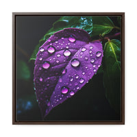 One Purple Leaf with Dew Drops Framed Canvas