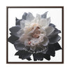 Baby in a Flower 'Life Can Be Beautiful' Gallery Canvas Wraps, Square Frame