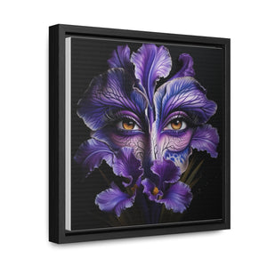 Purple Iris Flower Amber Eye Iris Framed Canvas