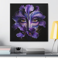 Purple Iris Flower Amber Eye Iris Framed Canvas