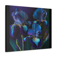 3 Baroque Purple & Blue Irises Canvas Gallery Wrap