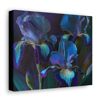 3 Baroque Purple & Blue Irises Canvas Gallery Wrap