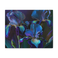 3 Baroque Purple & Blue Irises Canvas Gallery Wrap