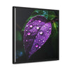 One Purple Leaf with Dew Drops Framed Canvas