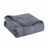 Grey Travel Weight Microfiber Throw Blanket