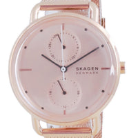 Skagen Horizont Stainless Steel Quartz Skw2931 Women's Watch