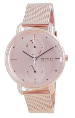 Skagen Horizont Stainless Steel Quartz Skw2931 Women's Watch