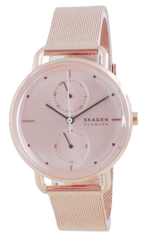 Skagen Horizont Stainless Steel Quartz Skw2931 Women's Watch