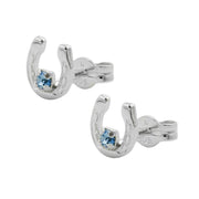 Earrings Horse Shoe Silver 925