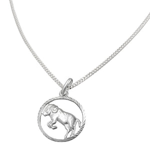 Set Zodiac Aries + Chain Silver 925