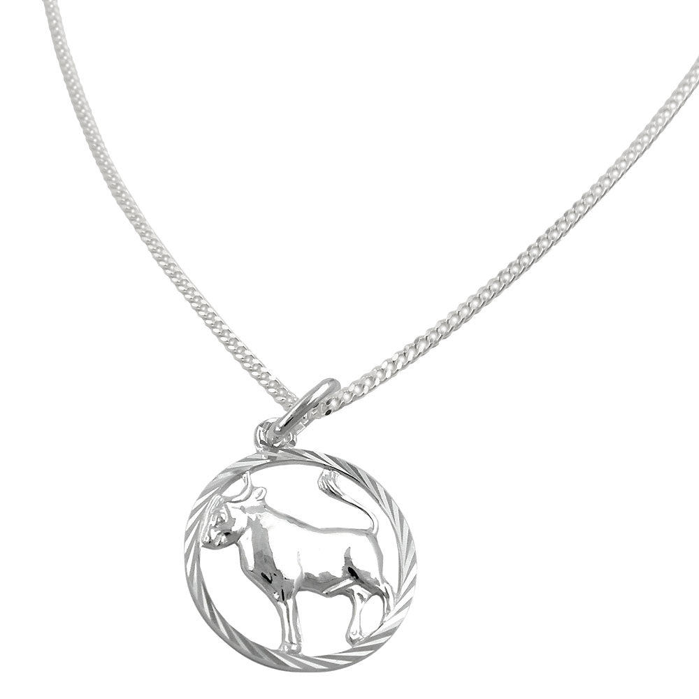 Set Zodiac Taurus + Chain Silver 925