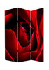 48" X 72" Multi-Color Wood Canvas Rose Screen