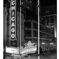 48" X 72" Multi-Color Wood Canvas Chicago Screen