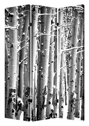 48" X 72" Multi-Color Wood Canvas Birch Screen