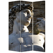 48" X 72" Multi-Color Wood Canvas Rome Screen