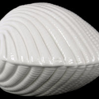 Ceramic Clam Seashell Figurine Gloss Finish White