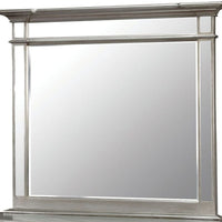 Contemporary Style Mirror , Silver