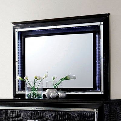 Contemporary Style Mirror , Black