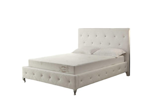 8" Short Queen Polyester Memory Foam Mattress Covered in a Soft Aloe Vera Fabric