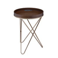 Pearlescent Gold And Dark Brown USB Side Table