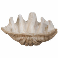 Medium Clam Shell Accent, White