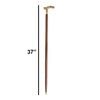 Lyptus Wood Walking Stick With Aesthetic Brass Handle, Walnut Brown