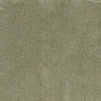 8' x 11' Polyester Sage Area Rug