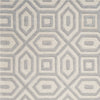 3'3" x 5'3" Wool Grey Area Rug