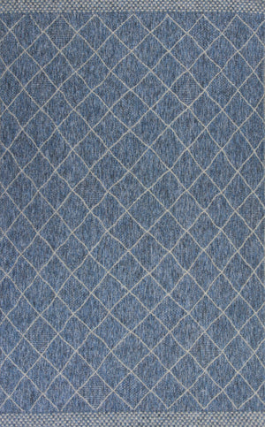 5' x 7'7" Polypropelene Blue Area Rug