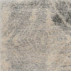 5'3" x 7'7" Polypropelene Ivory-Grey Area Rug