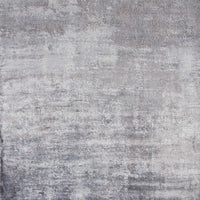 3'3" x 5'3" Viscose Slate Area Rug