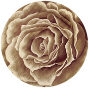 7'7" Round Polypropelene Ivory Area Rug