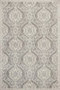 7'7" x 10'10" UV-treated Polypropelene Silver Area Rug