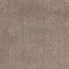 27" X 45" Polyester Beige Area Rug