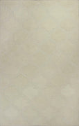 27" X 45" Wool Ivory Area Rug