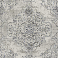 3'3" x 4'11" Polypropelene Ivory-Grey Area Rug