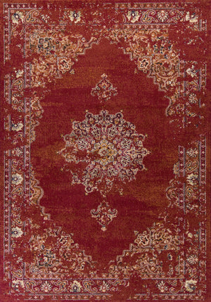 3'3" x 4'11" Polypropelene Burnt Red Area Rug