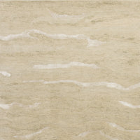 3' x 5' Beige Plain Wool Area Rug with Highlights