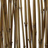 Single Panel Room Divider with Bamboo Branches Design