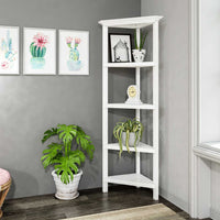 60" Bookcase with 2 Shelves in White