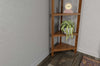 60" Bookcase with 3 Shelves in Walnut