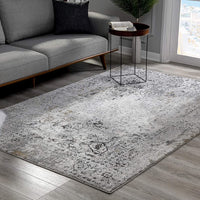 4’ x 6’ Gray Distressed Ornate Area Rug