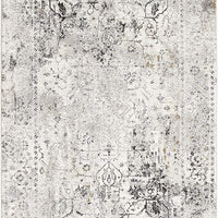 4’ x 6’ Gray Distressed Ornate Area Rug