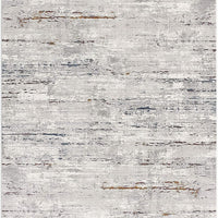 4’ x 6’ Gray Modern Distressed Area Rug