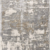 4’ x 6’ Beige and Gray Distressed Area Rug