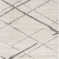 4’ x 6’ Gray Modern Abstract Pattern Area Rug